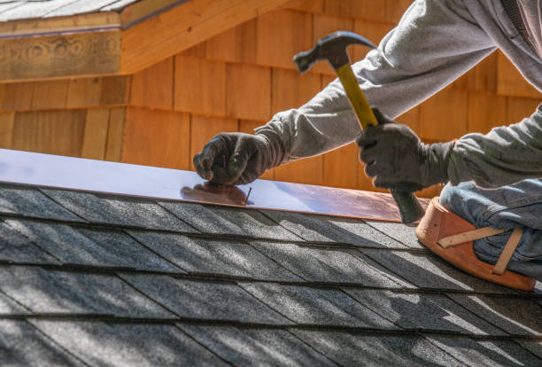Best Roof Insulation Installation  in Palm Springs North, FL