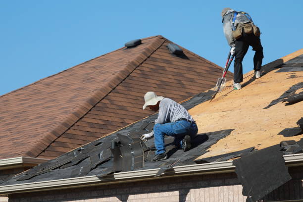 Palm Springs North, FL  Roofing repair and installation Company